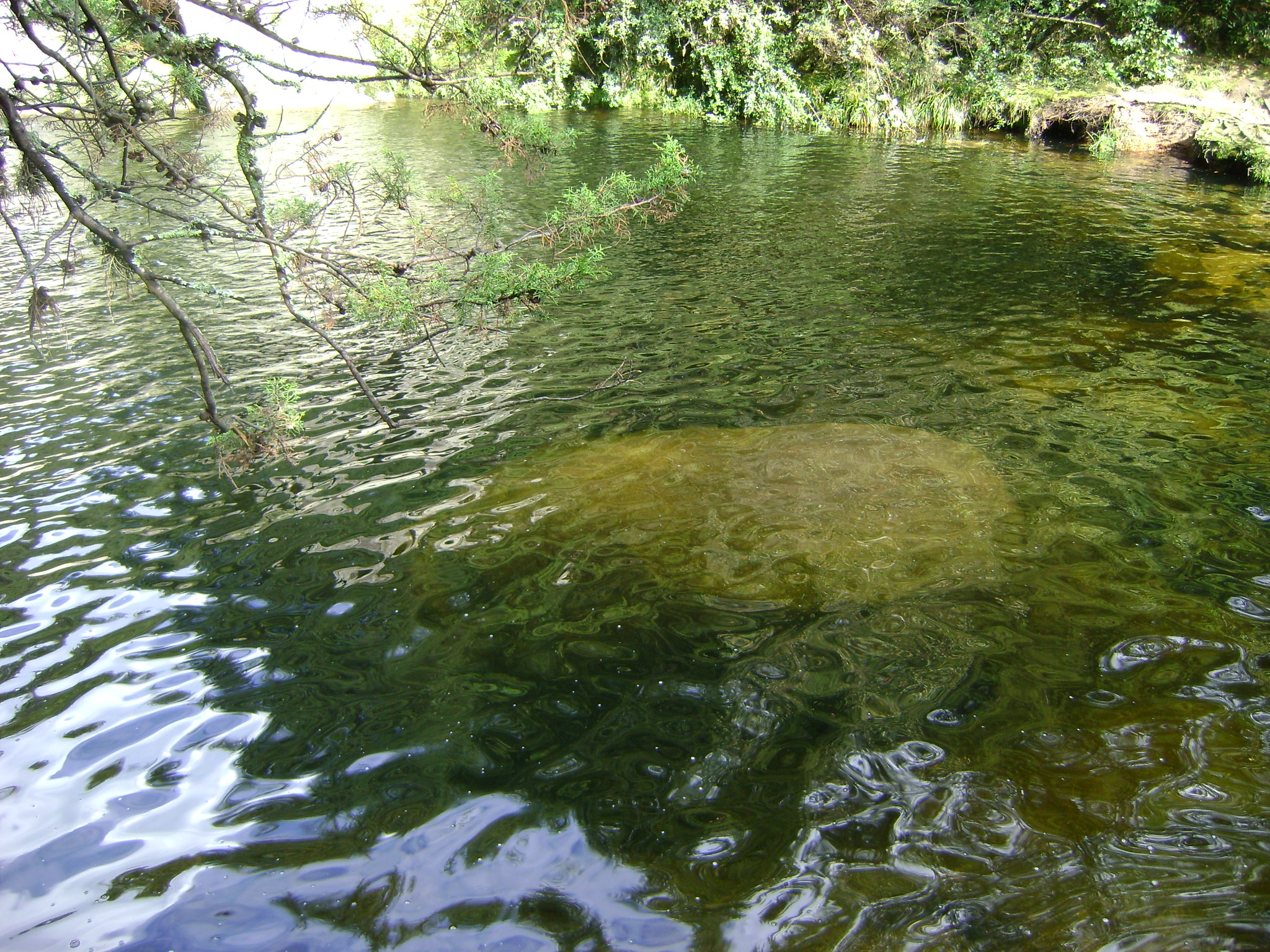 fotos/2011 - Los Reartes/DSC03377.JPG